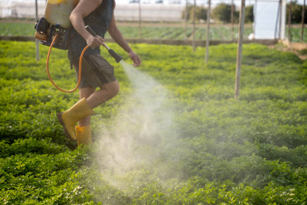 Best Residential Pest Control  in Meridian, CO