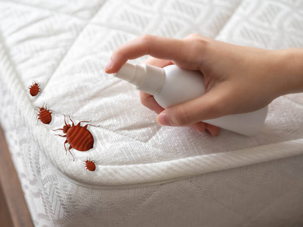 Best Affordable Pest Control Services  in Meridian, CO
